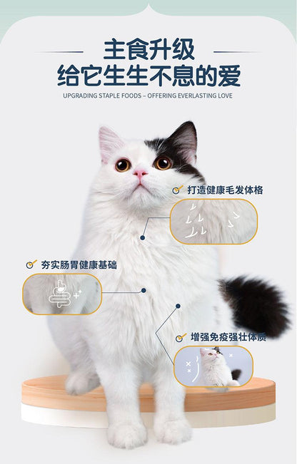 Pet-Ever - Cat Freeze-Dried Raw Beef Recipe Mini Pack - Petasty宠味